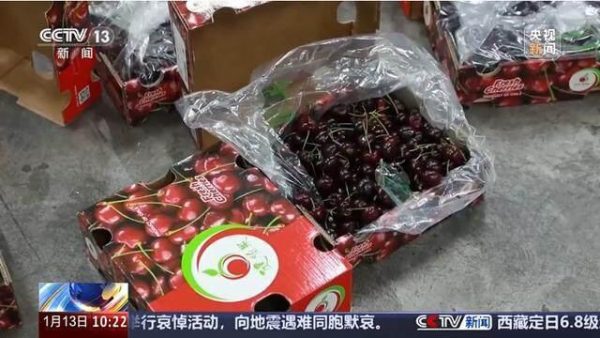 为什么车厘子一个月到中国却不腐烂？